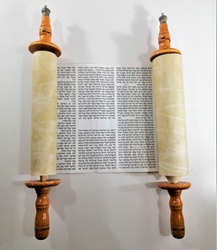 Sefer Tora 48cm svitek s jad a chošen